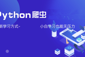 夜猫编程Python爬虫JS逆向进阶课(录播课＋答疑)从零基础到高薪就业编程课