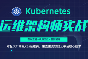 Kubernetes/K8s运维架构师实战集训营【中高级】第5期