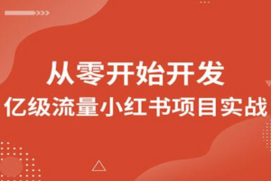 图灵 从零开始开发亿级流量小红书项目实战