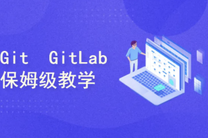 保姆级教学 Git/GitLab/GitHub/Gitee/IDEA集成，手把手教会你