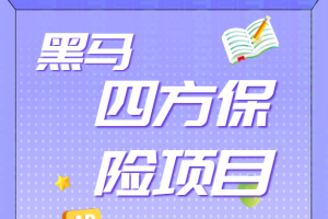 黑马四方保险项目