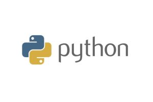 小飞有点东西 三门Python实战课