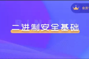 二进制安全系列教程