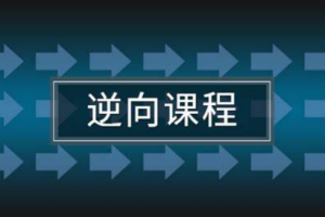 任鸟飞2021游戏安全逆向在线班课程