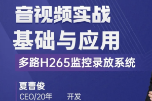 C++音视频实战-FFmpeg基础到工程-多路H265监控录放开发