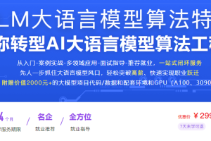 LLM大语言模型算法特训 带你转型AI大语言模型算法工程师