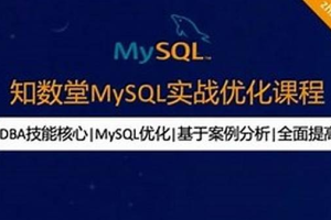 知数堂MySQL实战优化课程