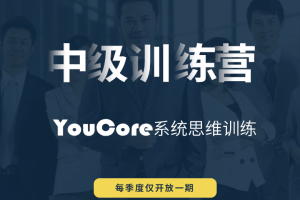 YouCore系统思维中级训练营