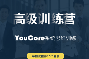 YouCore系统思维高级训练