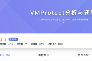 看雪-VMProtect分析与还原