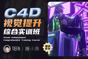 腾小渔 C4D视觉提升综合实训班2023