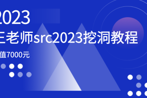 价值7000元的王老师src2023挖洞教程