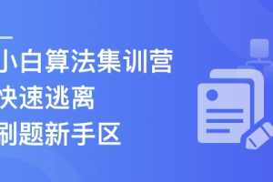 小白算法集训营-大幅提升刷题量，快速逃离新手区