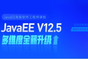 黑马Java2022最新版本全套v12.5+狂野终极项目