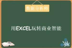 数据分析师《用EXCEL玩转商业技能》