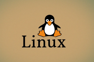 王利涛-linux高级编程