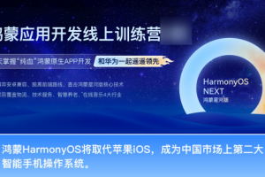 博学谷-HarmonyOS NEXT鸿蒙（星河版）应用开发线上训练3期