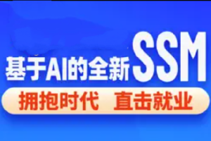 2024基于 AI 的 SSM 框架课程（完整资料）