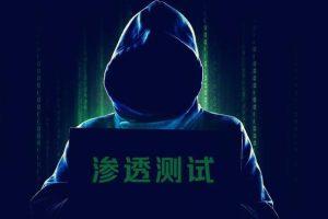 网站黑客与渗透测试  Website Hacking  Penetration Testing